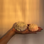 Vela Cactus Turquesa